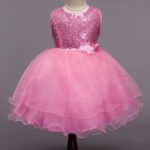 Baby Pink Shimmery & Net Frock